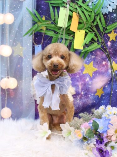 20250715マロンくん